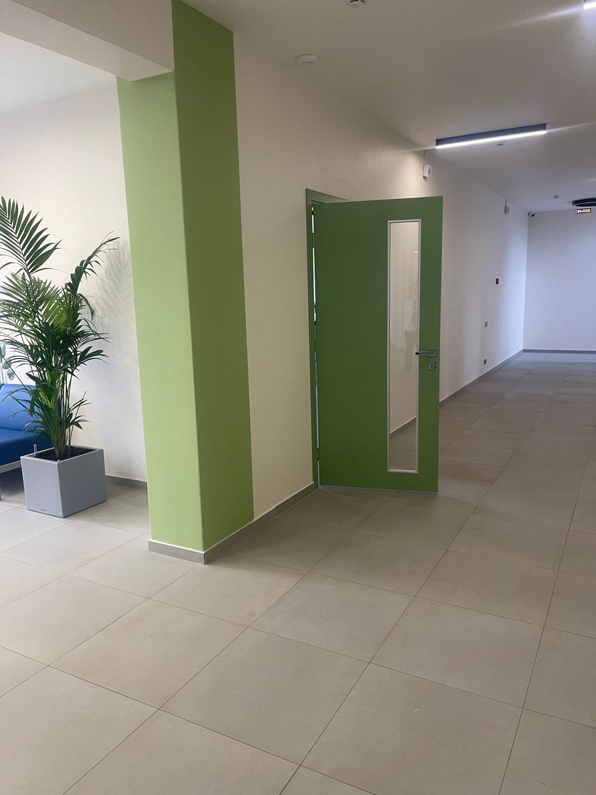 Russian International School 9